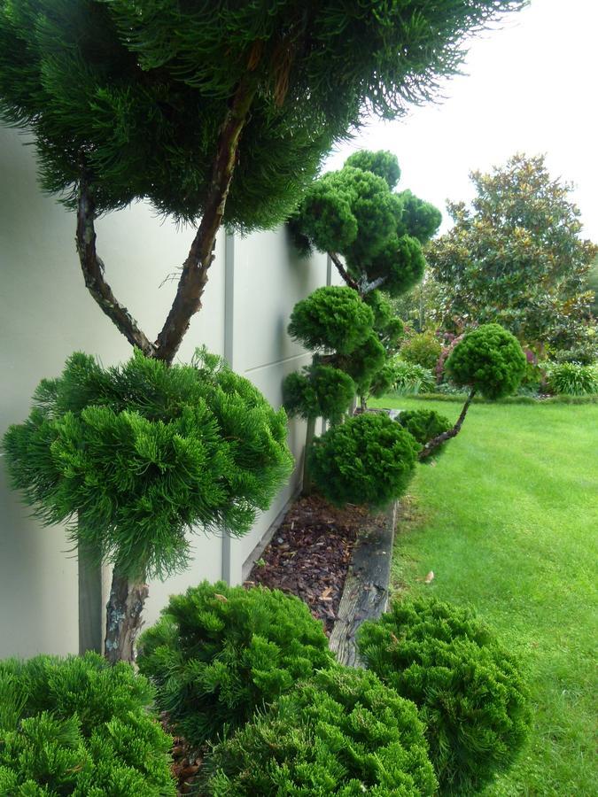 Hadleigh Boutique Lodge Tamahere Zewnętrze zdjęcie